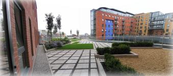 Shared roof terrace